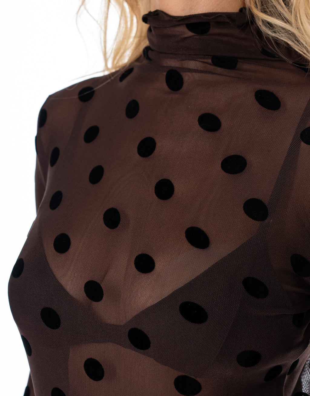Sheer Mesh Polka Dot Mock Neck Long Sleeve Top - Brown
